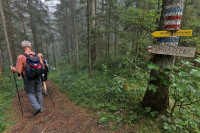 /album/fotogalerie-startseite/img-6196-ji-jpg1/