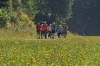 /album/fotogalerie-startseite/img-6288-ji-jpg1/